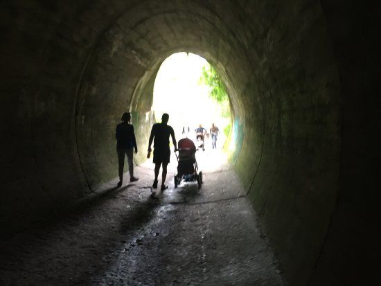 Rezerwat Przyrody Przylądek Rozewski